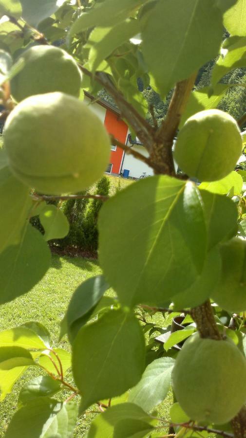 Appartement Erlbacher Lungötz Kültér fotó